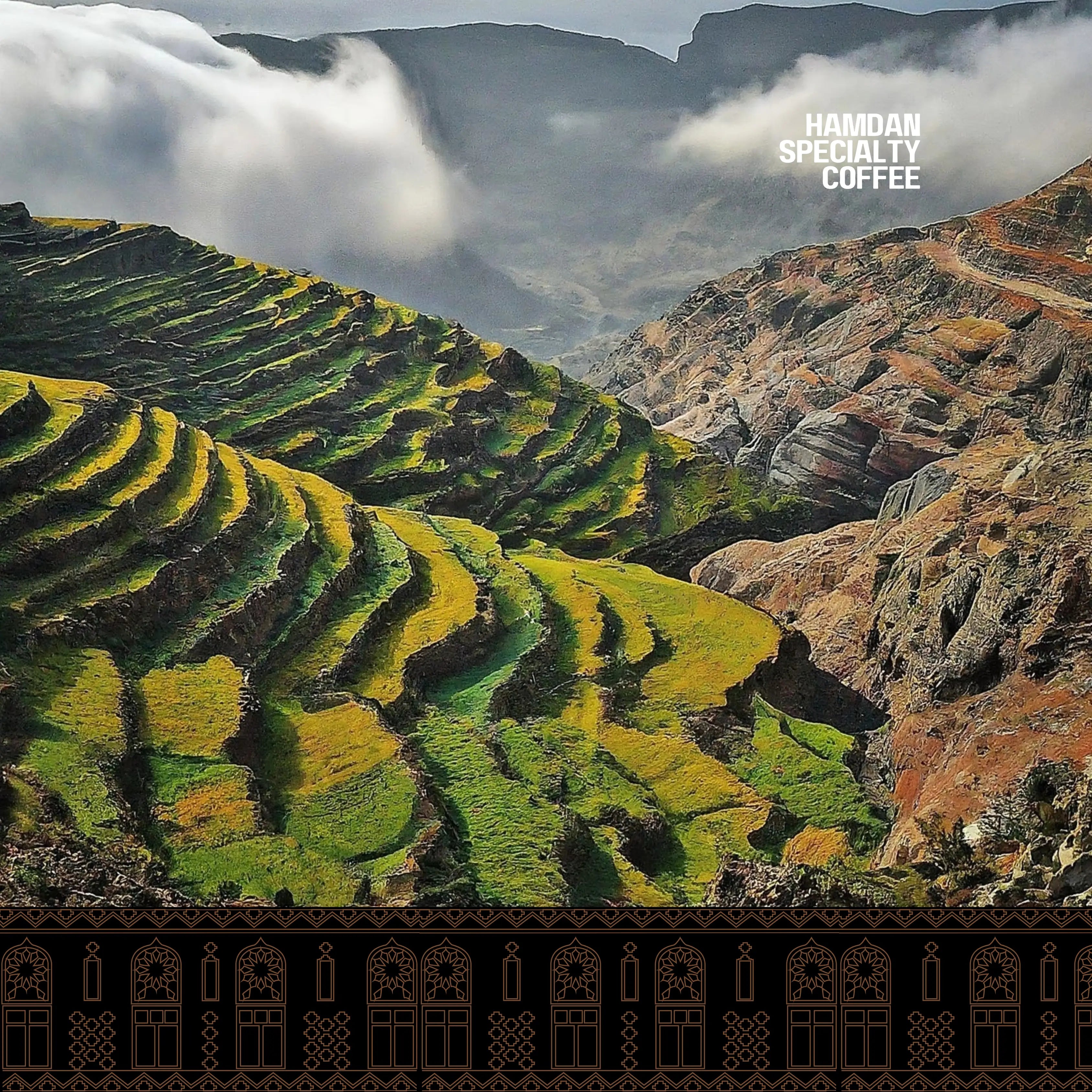 Pistachio Coffee – A Delightful Turkish Brew - Hamdan Coffee