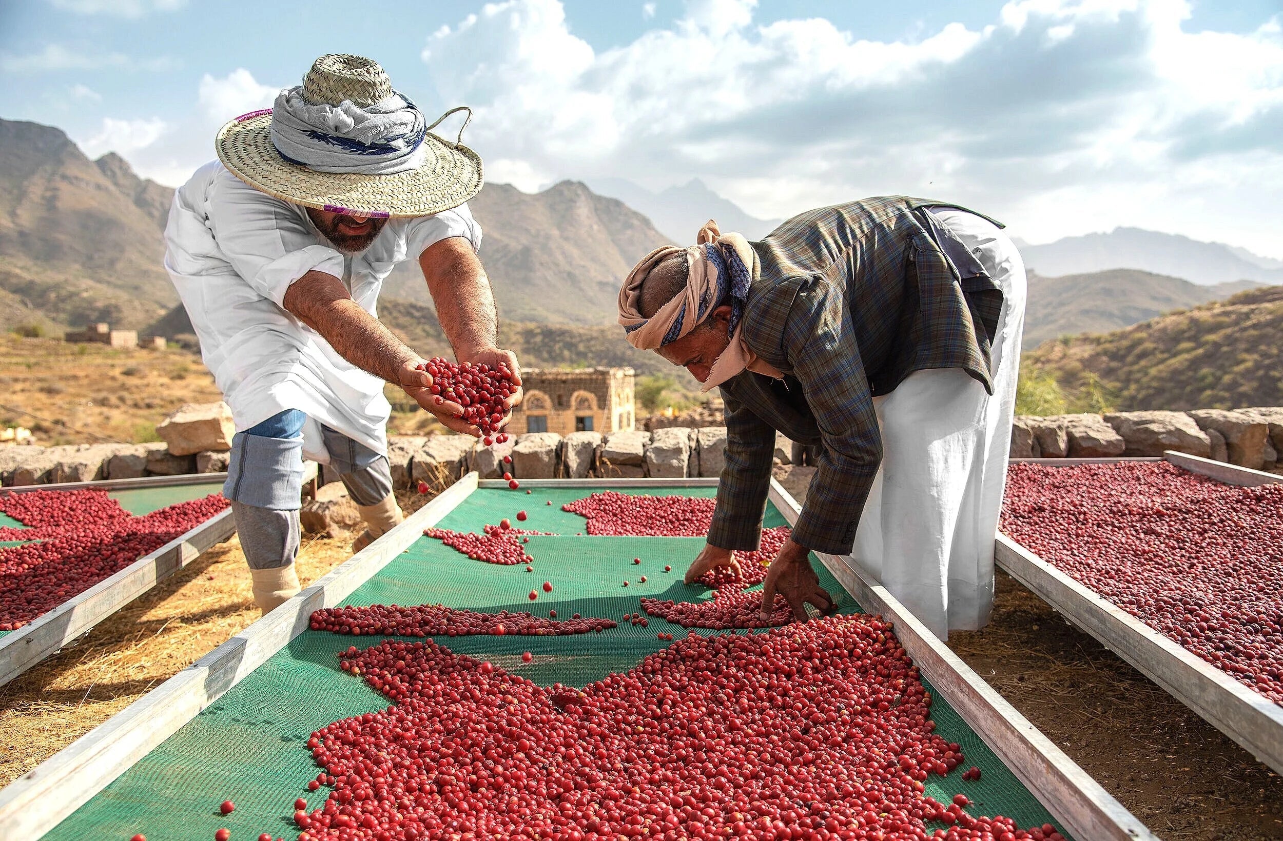 Seasonal Coffee: Why Coffee Tastes Different Throughout the Year Hamdan Coffee