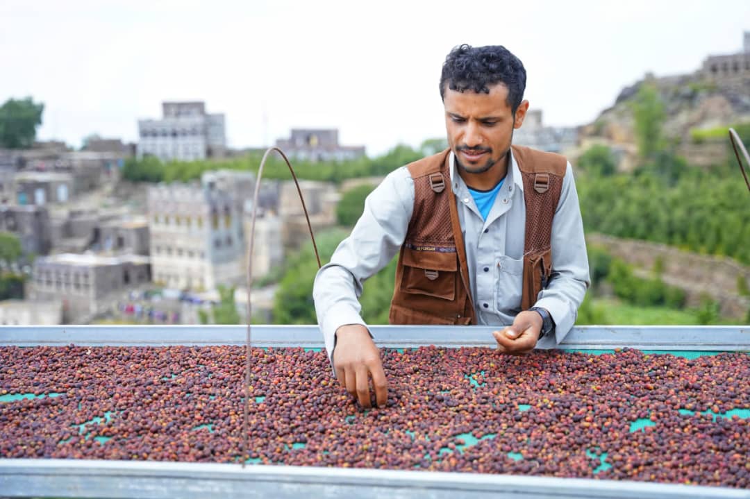 Coffee Subscriptions vs One-Time Orders: What's Right for You? Hamdan Coffee
