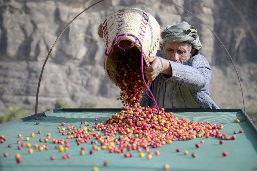 Reading Coffee Packaging: Roast Date, Origin and Other Key Information Hamdan Coffee