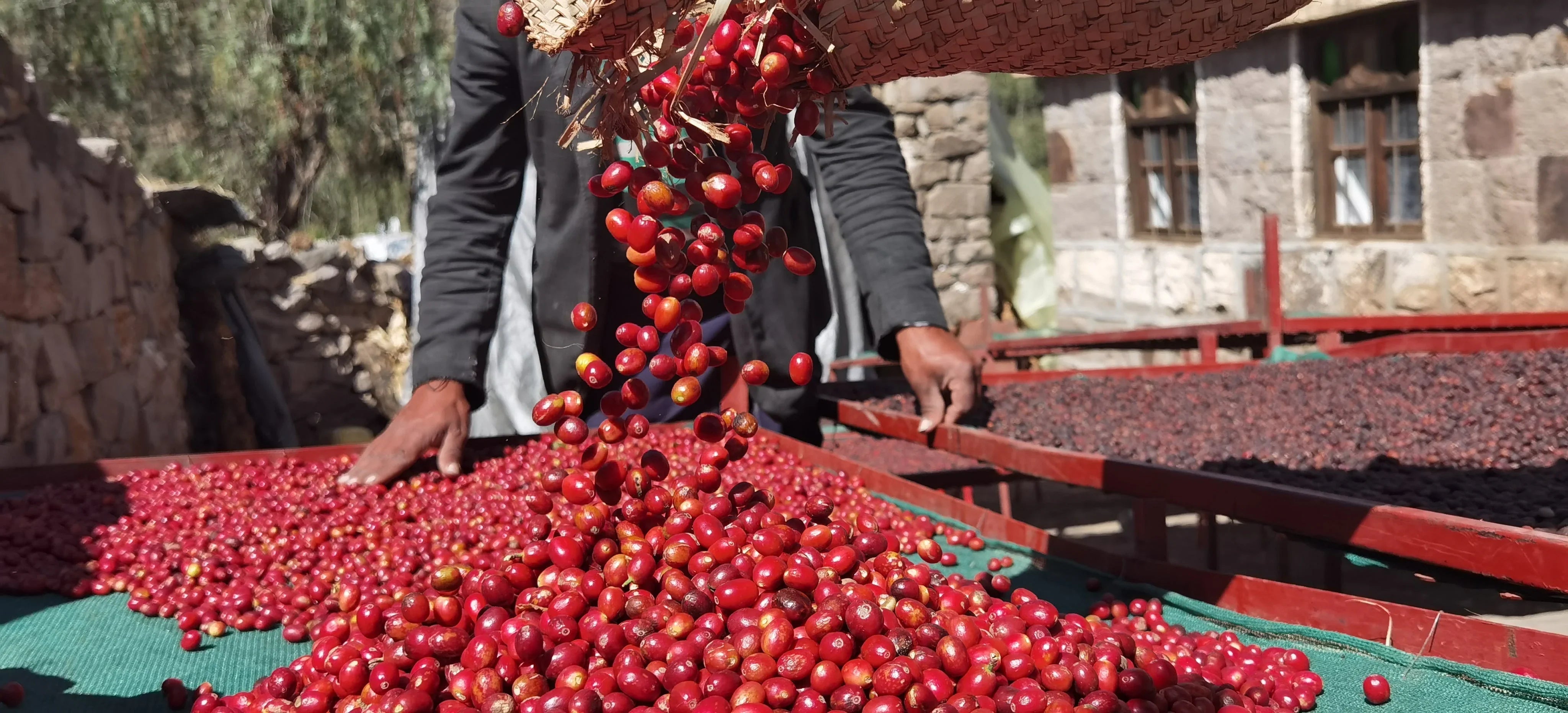 Coffee Price Guide: Why Specialty Coffee Costs More Than Supermarket Coffee Hamdan Coffee