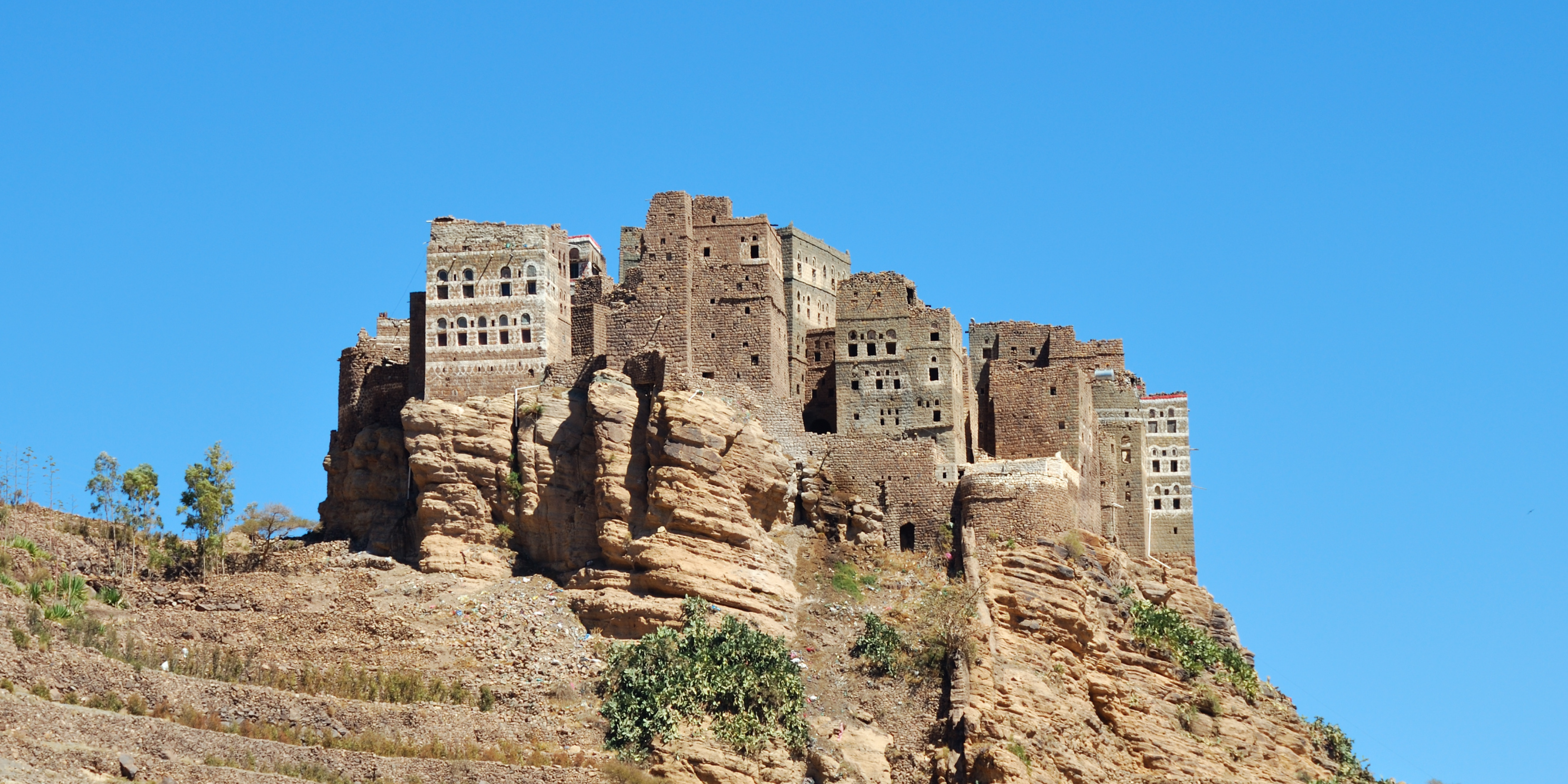 The History of Yemeni Coffee: How Yemen Became the Birthplace of Coffee Culture Hamdan Coffee