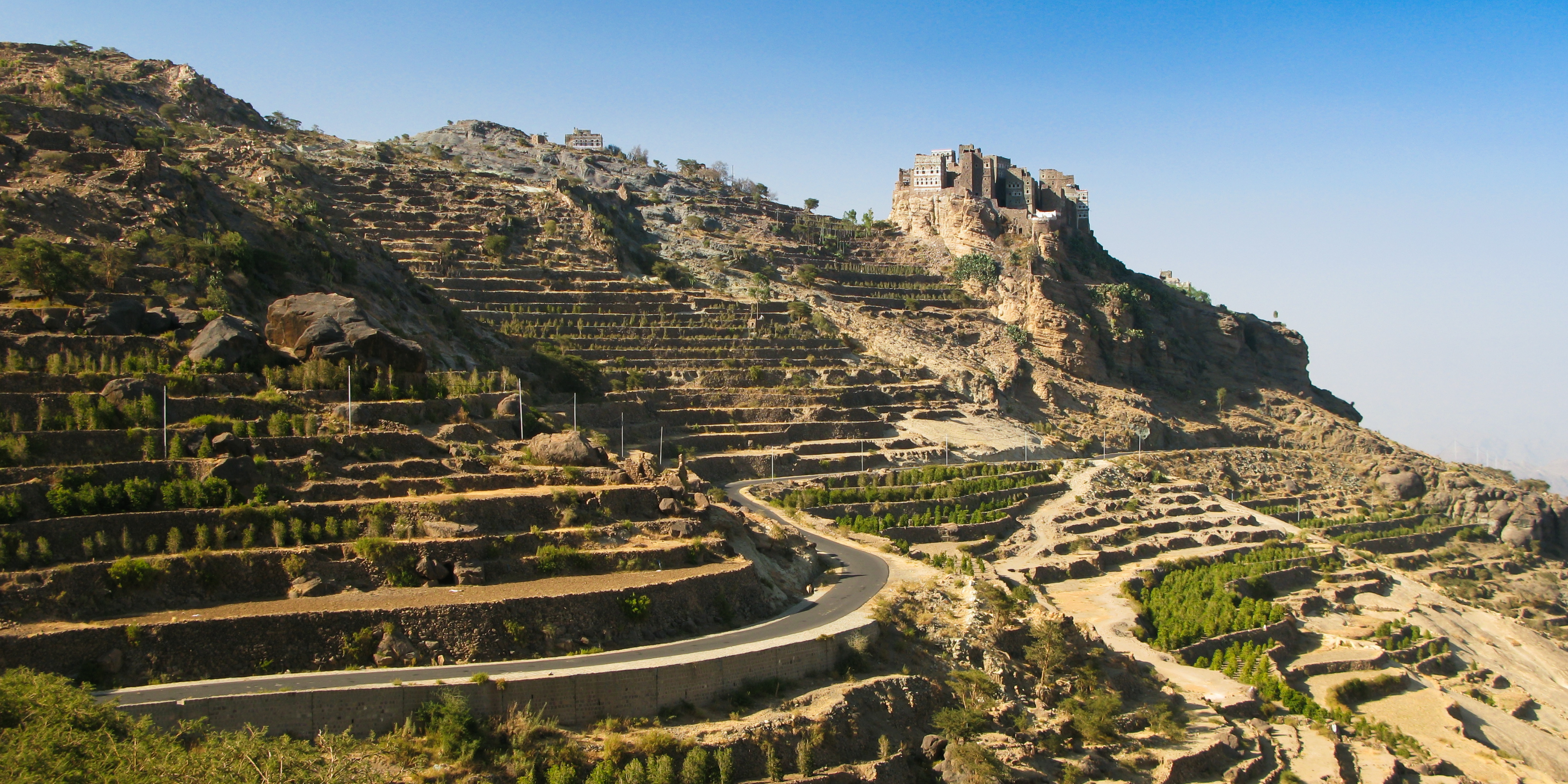 Yemeni Coffee vs Ethiopian Coffee: Understanding the Differences Hamdan Coffee
