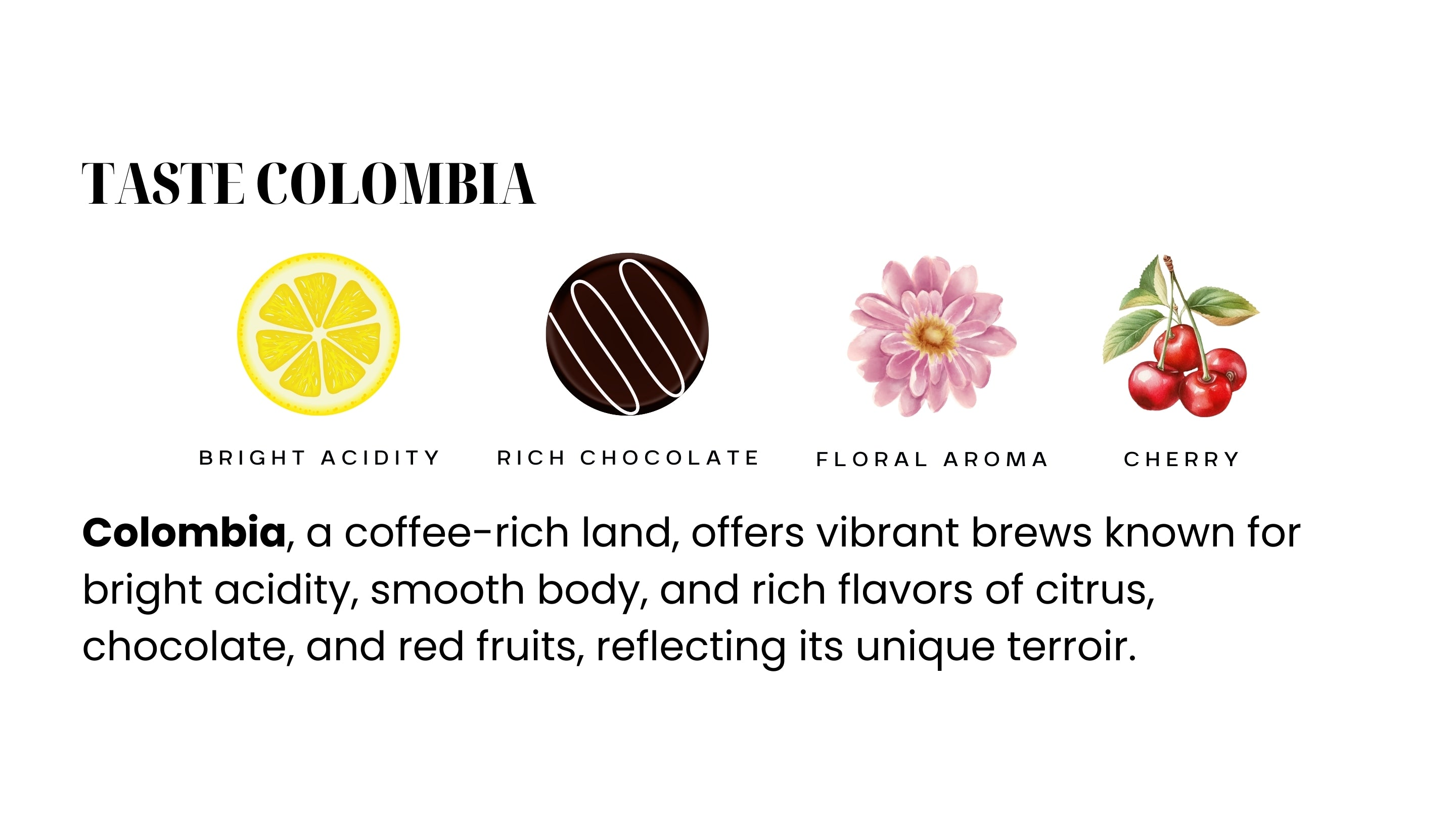 Flavours of Colombia – Authentic Colombian Coffee Experience