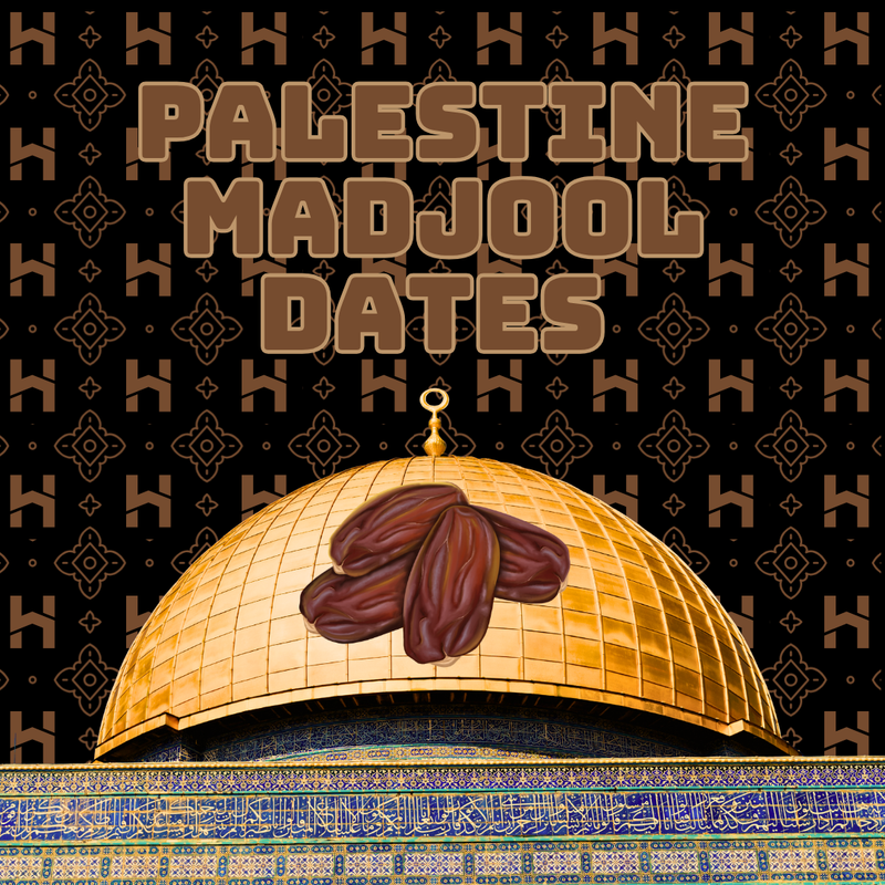 Hamdan Coffee Medjool Dates - Premium Large Soft Palestinian Dates, Naturally Sweet Fibre-Rich Healthy Snack,  Ideal for Gifting, Energy Boost Breakfast and Desserts - (650 g) Hamdan Coffee Dates