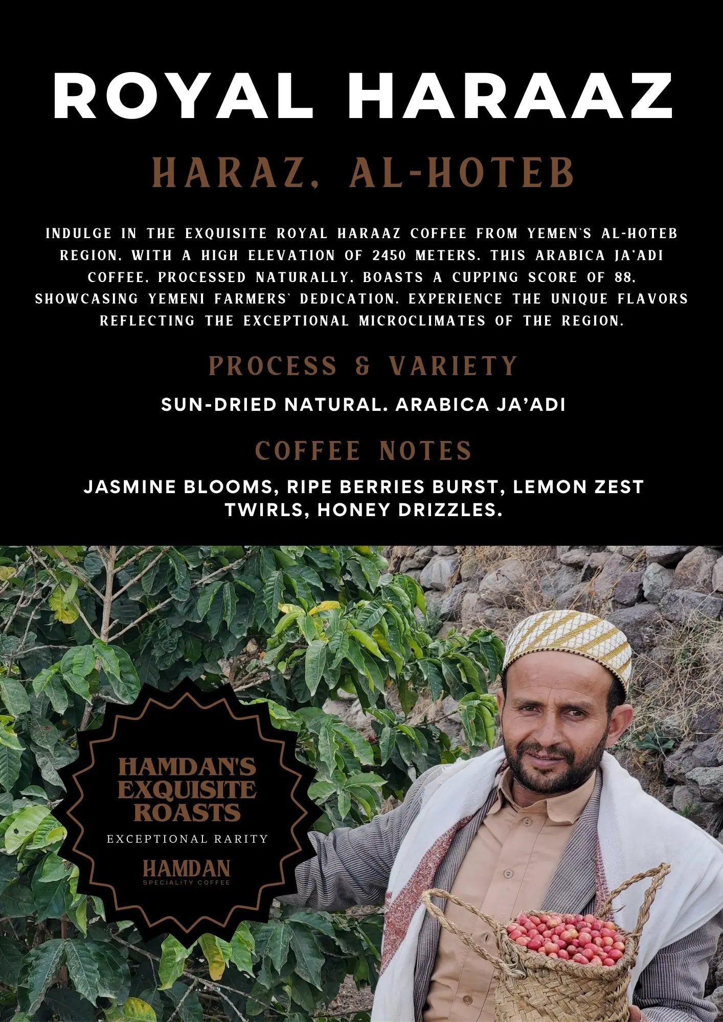 Royal Haraaz Yemen Coffee - Hamdan's Exquisite Roasts Hamdan Coffee