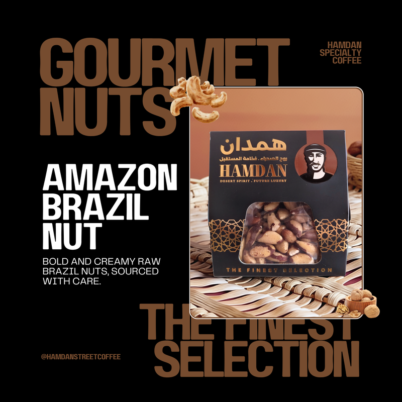 Amazon Jumbo Brazil nuts