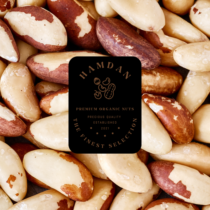 Hamdan jumbo creamy Brazil nuts highlighting buttery texture