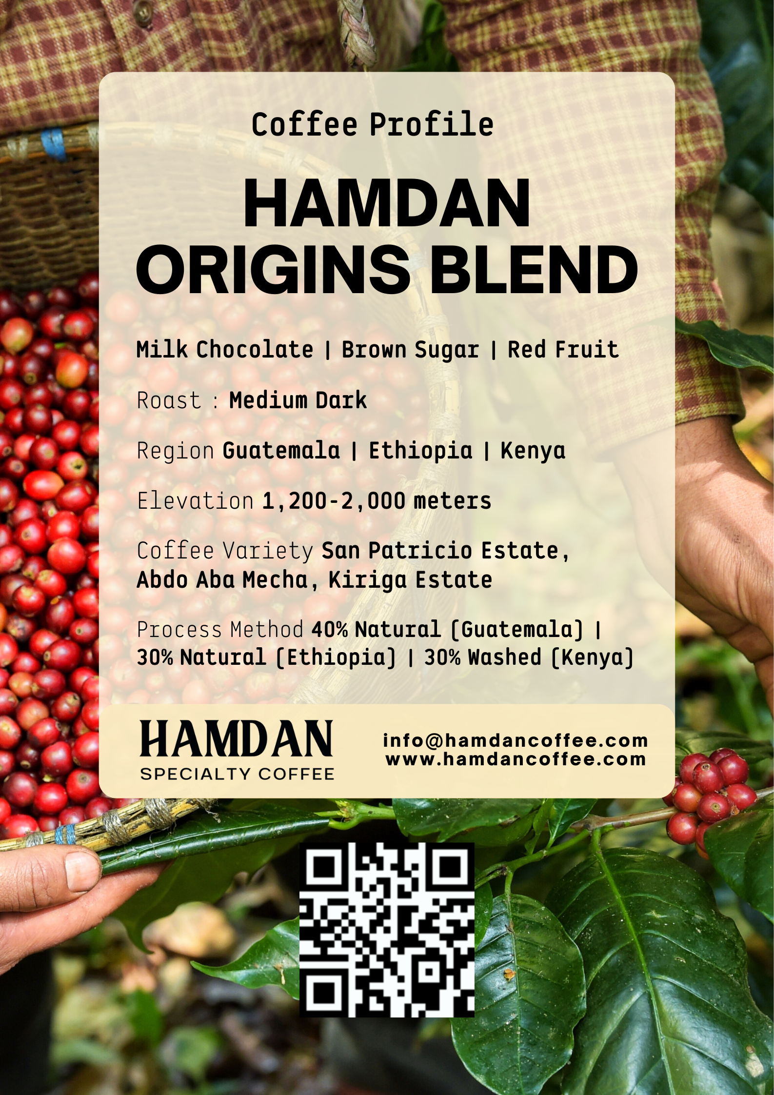 Hamdan Origins Blend Hamdan Coffee Wholesale