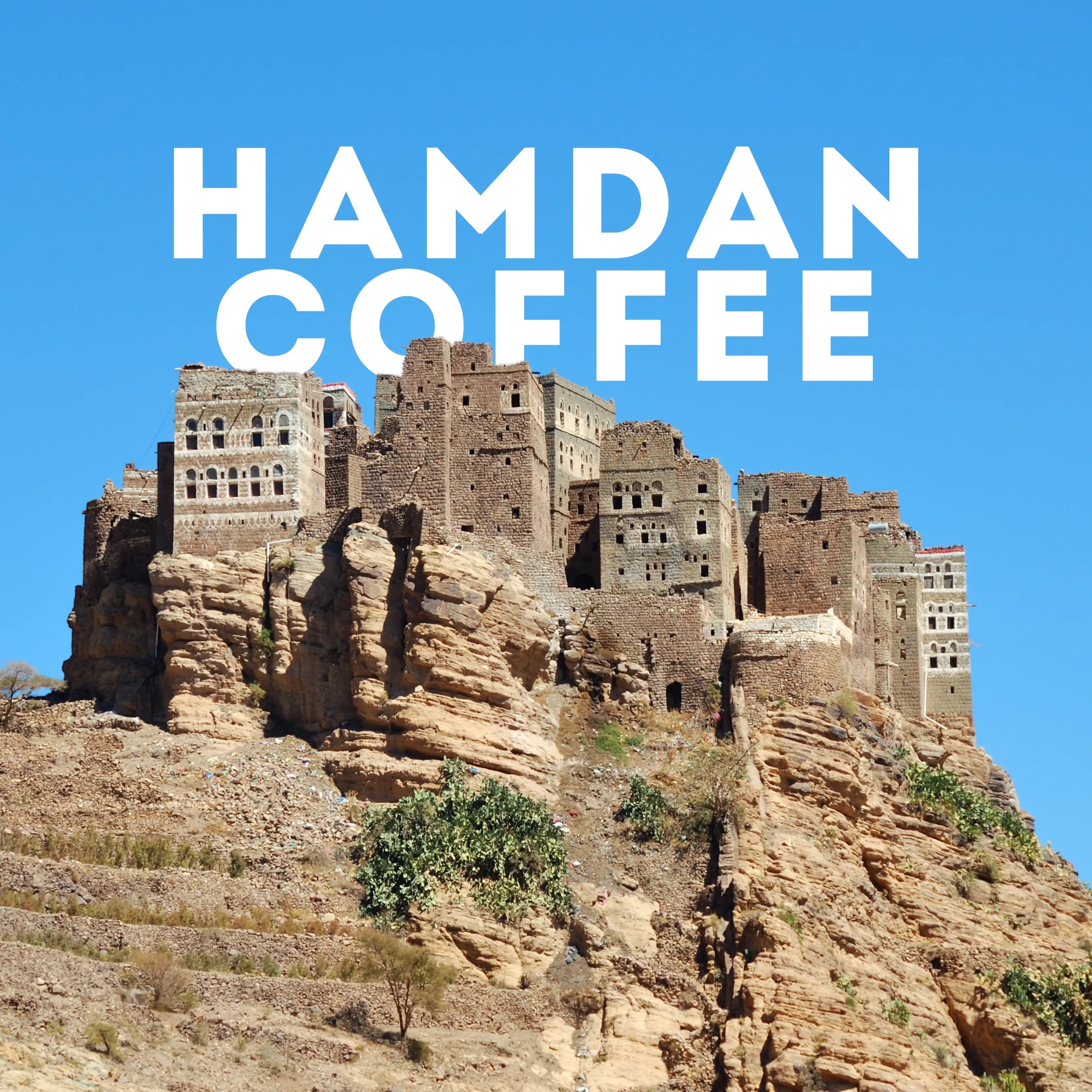 Arabica Heights - Drip Coffee bags Hamdan Coffee